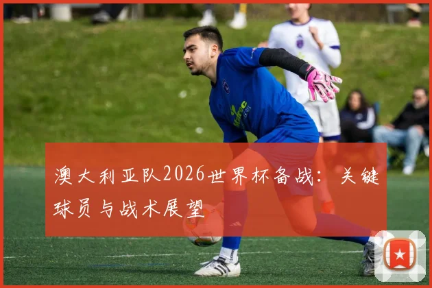 澳大利亚队2026世界杯备战：关键球员与战术展望